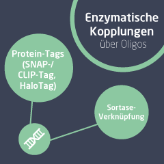 Vorschau Bild Eintrag Sonderangebotsbereich